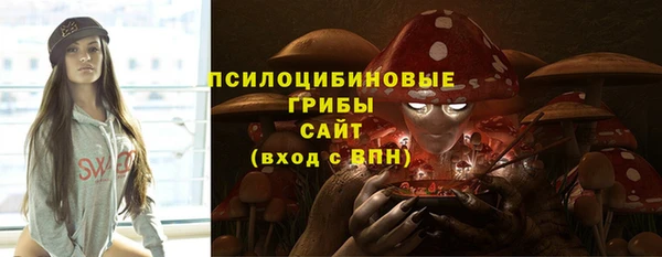 герыч Алексин