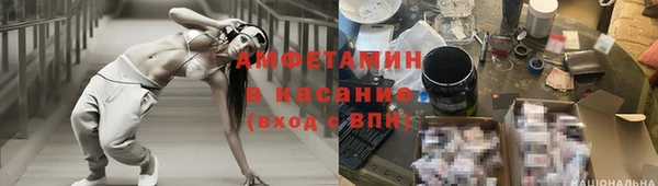 шишки Абинск