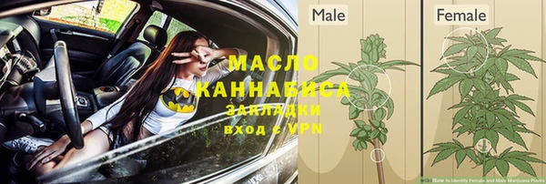 шишки Абинск