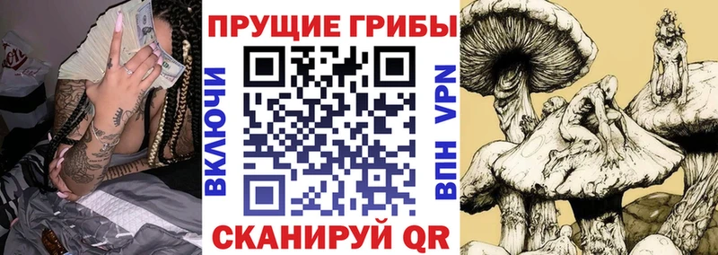 Галлюциногенные грибы прущие грибы  Ипатово 